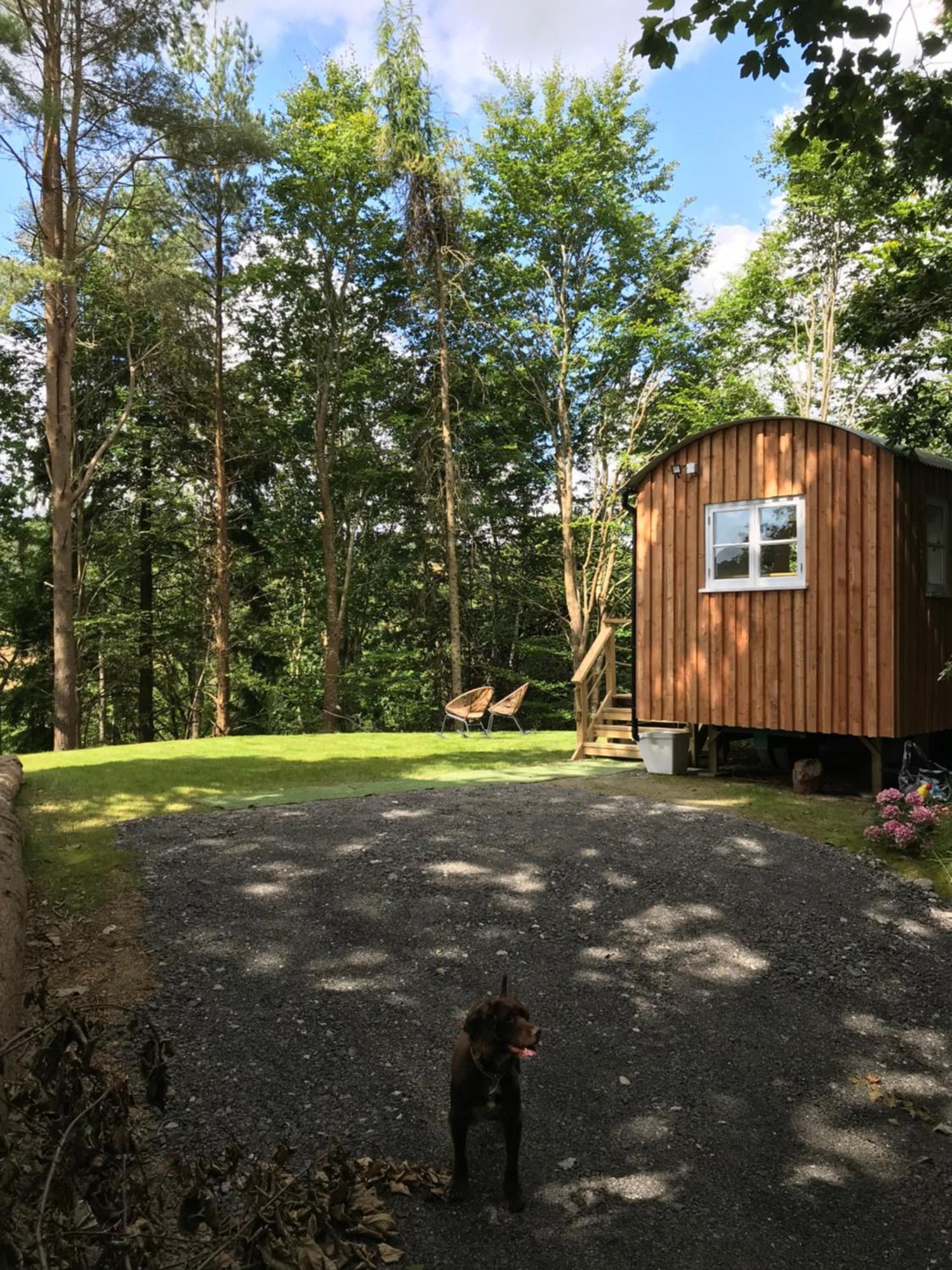 Shepherd'S Hut At Rosewood House Liskeard Eksteriør bilde